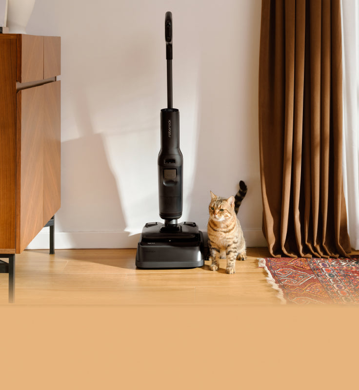 Roborock F25 ACE Pro