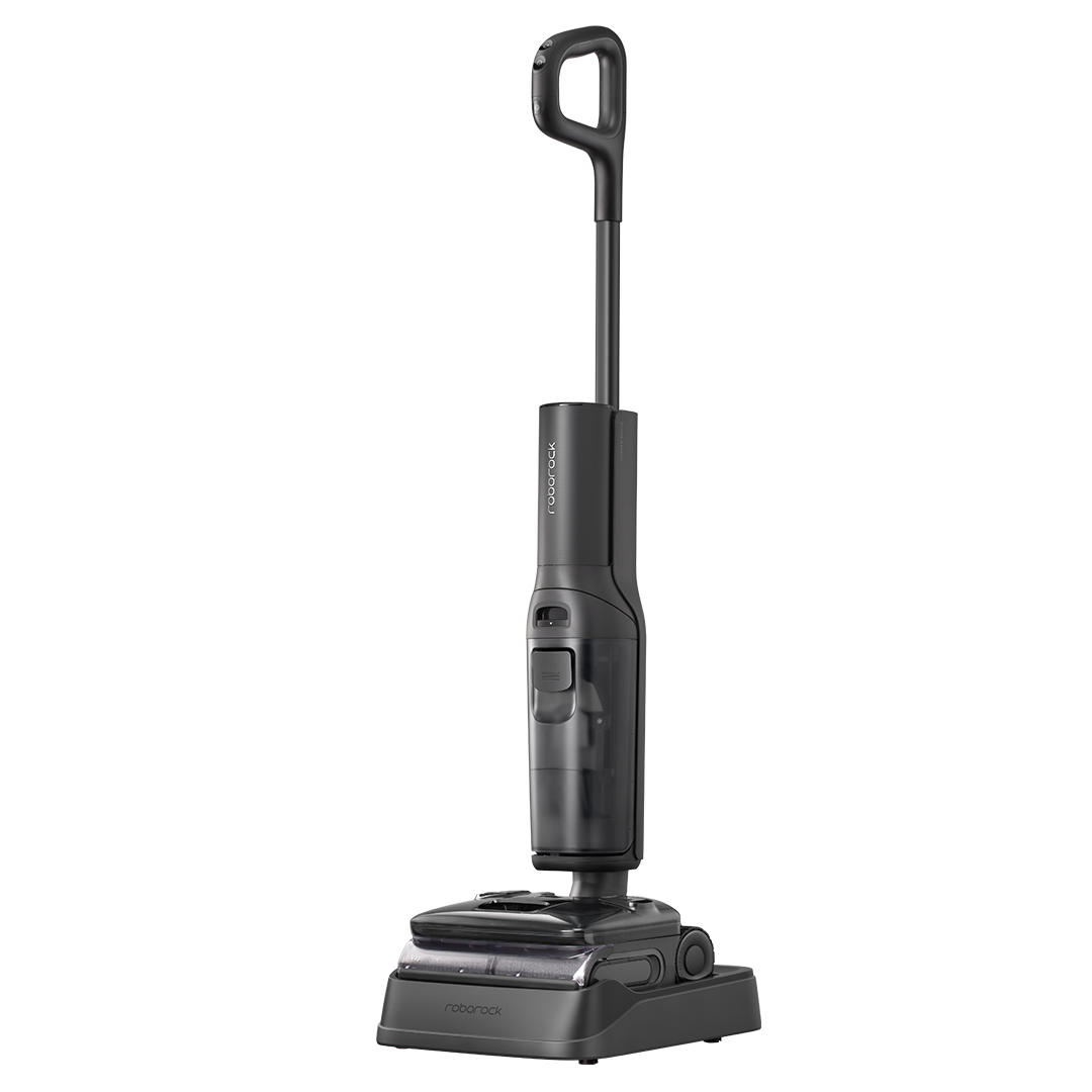 Roborock F25 Steam